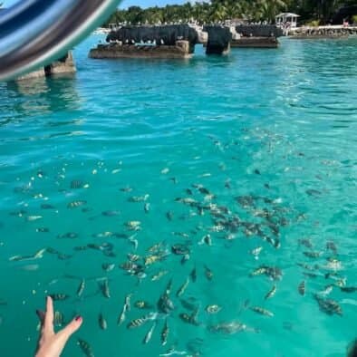 Saona Island – Speedboat Medium Group Package